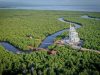 Tower Mangrove Forest Park Langsa Jadi Ikon Pariwisata Baru Aceh