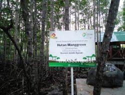 Rezim Umara Dinilai Ceroboh, Wisata Mangrove Kuala Langsa Ditutup