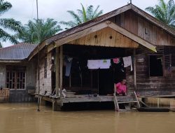 48 Desa di Aceh Tamiang Terendam Banjir
