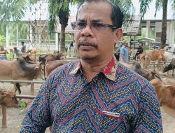 Jelang Meugang Transaksi di Pasar Hewan Aceh Tamiang Capai Rp1 Miliar