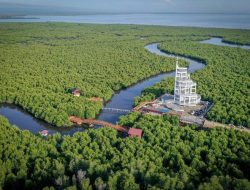 Kasus Proyek AMDAL Wisata Mangrove Langsa Menguap