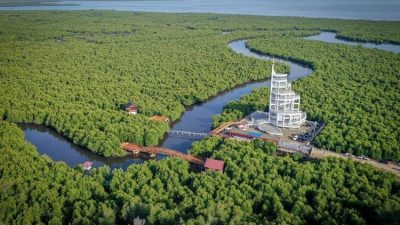 Kasus Proyek AMDAL Wisata Mangrove Langsa Menguap
